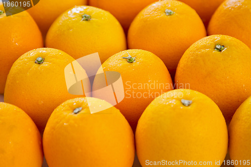 Image of Orange