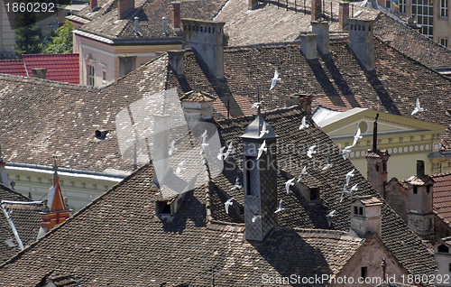 Image of Sighisoara