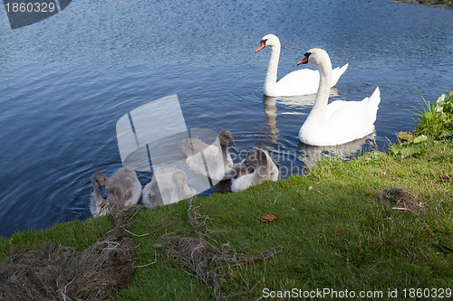 Image of Pictures from Denmark