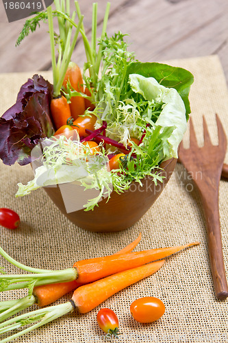 Image of Fresh vegetables salad 