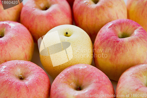 Image of Apple and Pear 