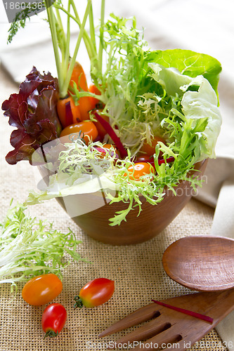 Image of Fresh vegetables salad 