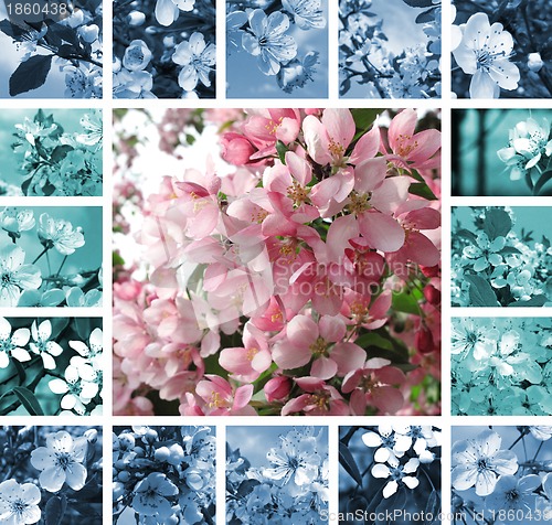 Image of Spring collage