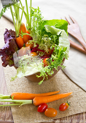 Image of Fresh vegetables salad 