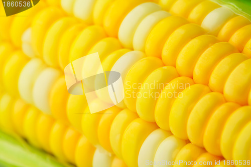 Image of corn cob