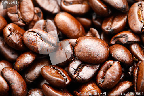 Image of coffee bean