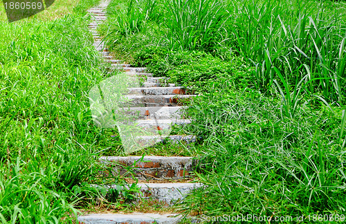 Image of mountain path