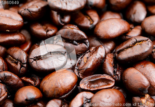 Image of coffee bean close up