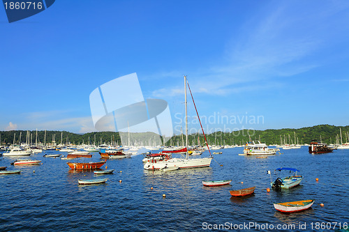 Image of yachts in bay