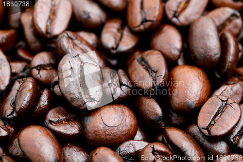 Image of coffee bean