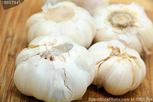 Image of garlic