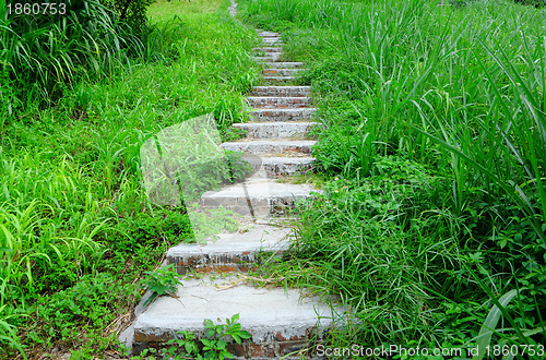 Image of mountain path for hiking