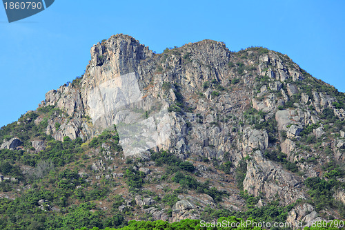 Image of Lion Rock, lion like mountain in Hong Kong, one of the symbol of