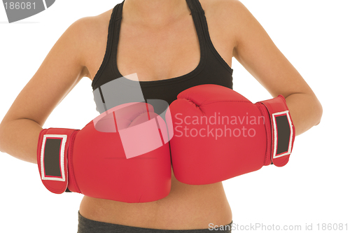 Image of Boxer #07