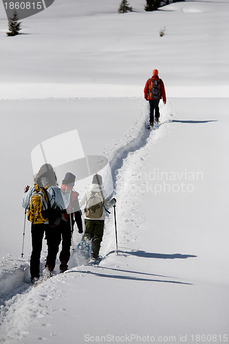 Image of snowshoeing in the fresh snow