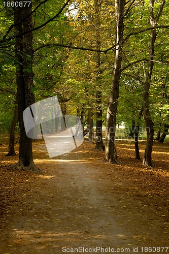 Image of Path