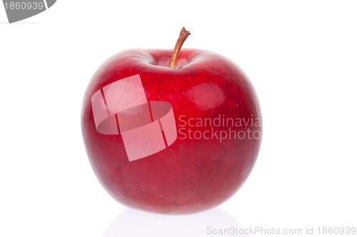 Image of Red apple