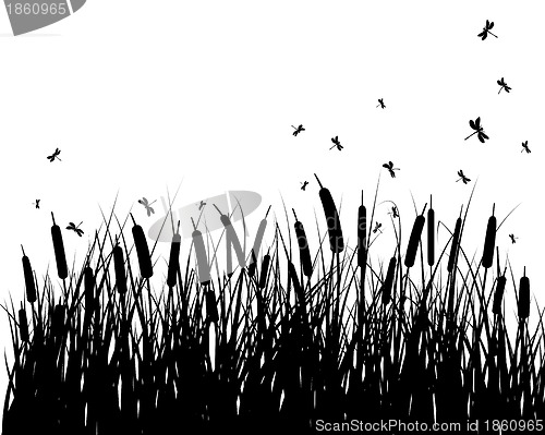 Image of meadow silhouettes