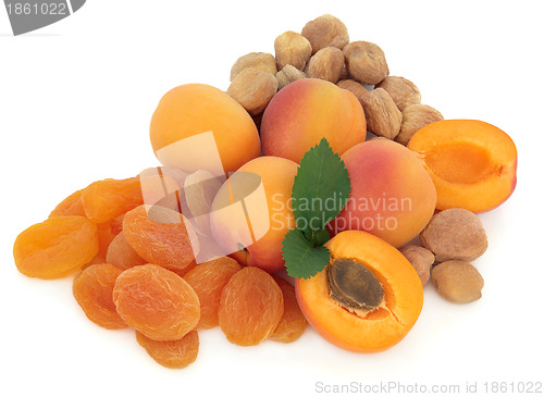 Image of Apricot fruit