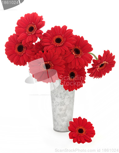 Image of Red Gerbera Flowers
