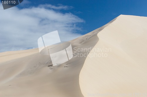 Image of Dunes #7