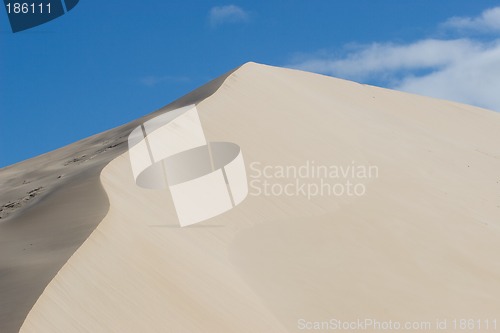 Image of Dunes #8