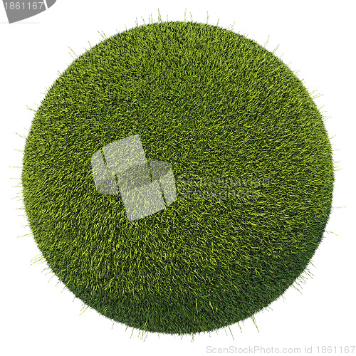 Image of Eco and environment: green fresh grass globe isolated