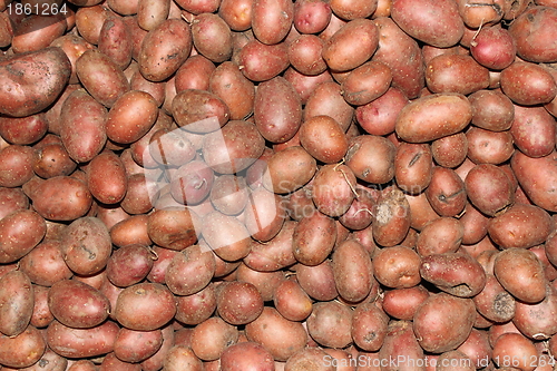 Image of potatoes texture
