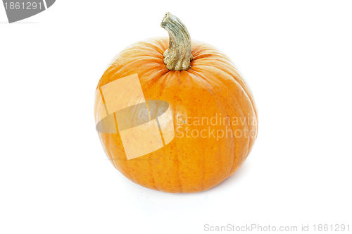 Image of Ripe Pumpkin