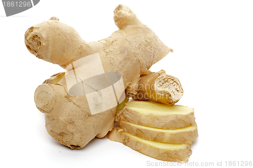 Image of Ginger