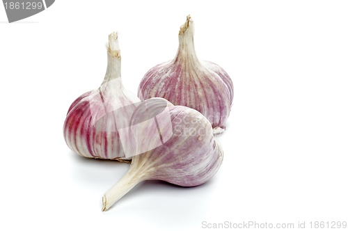 Image of Garlic