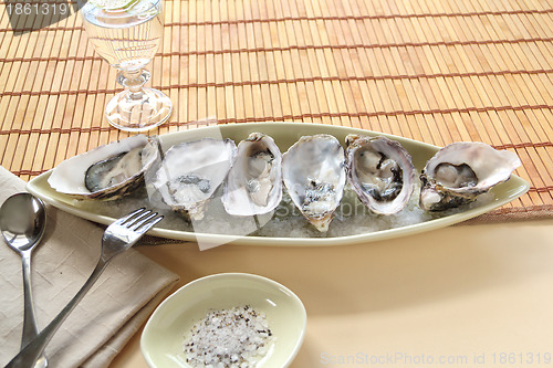 Image of Oysters Natural