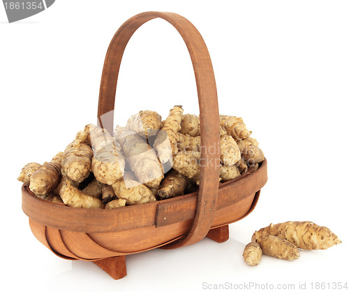 Image of Jerusalem Artichokes