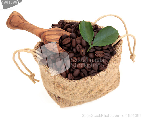 Image of  Coffee Beans