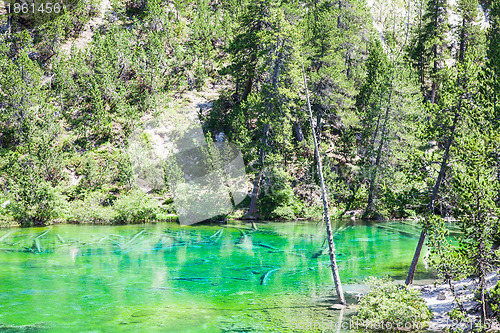 Image of Green Lake