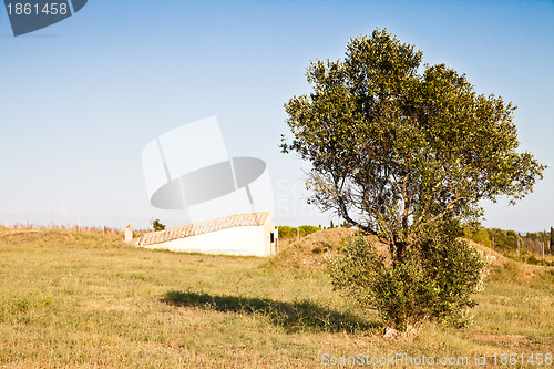 Image of Exterior of Etruscan tomb