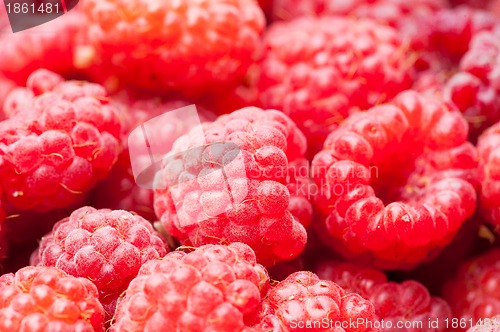 Image of sweet raspberry fruit