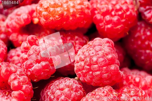 Image of sweet raspberry fruit