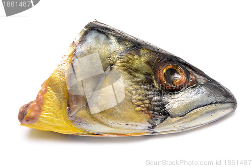 Image of mackerel