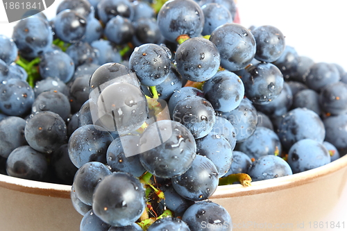 Image of bunch of red grapes 