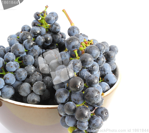 Image of grapes over white