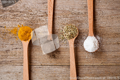 Image of curry, pepper, oregano and cooking salt in wooden spoons 