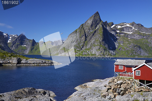 Image of Fjord on Lofoten islands