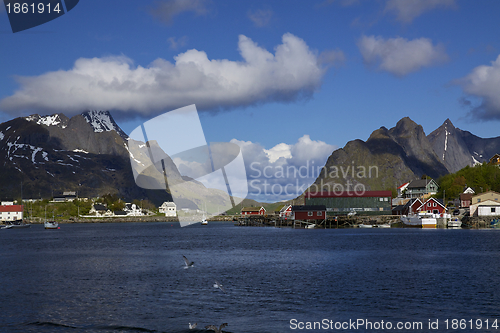 Image of Fishing port on Lofoten