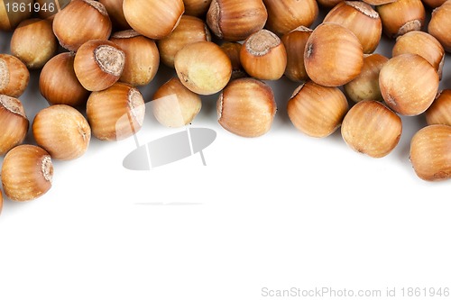 Image of Hazelnuts pile isolated on white background 