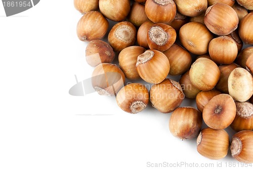 Image of Hazelnuts pile isolated on white background 