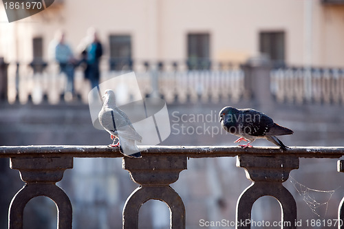 Image of love and doves