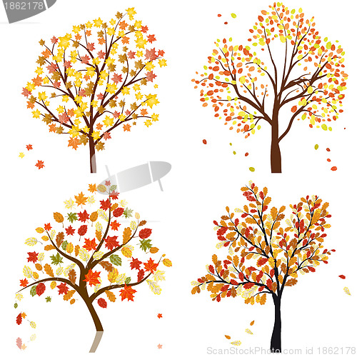 Image of Set of four autumn tree