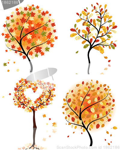 Image of Set of four autumn tree