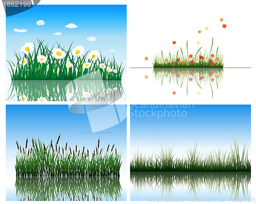 Image of Water flora set
